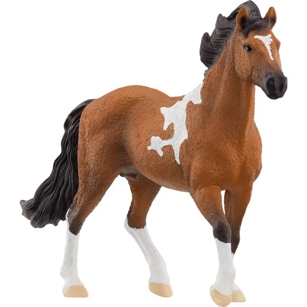 Schleich Horse Club Mangalarga Marchador Hengst, Spielfigur 3 Schleich Horse Club Mangalarga Marchador Hengst, Spielfigur