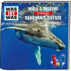 Tonies Was Ist Was - Wale & Delfine / Geheimnis Der Tiefsee, Spielfigur 8 Tonies Was Ist Was - Wale & Delfine / Geheimnis Der Tiefsee, Spielfigur -Spielzeug Förderung Rabatte Tonies Was ist Was Wale Delfine Geheimnis der Tiefsee Spielfigur@@1568569 2